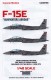 1/48 190: F-15E 'Gunfighters Abroad'