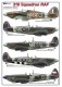 1/72 053:  310 Squadron RAF