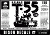 BD35004: BALKAN T-55's