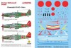 1/72 029: Kawasaki Ki-61 Hien