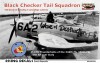 1/48 035:Black Checker Tail Squadron”