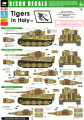 BD35160: TIGERS IN ITALY #2