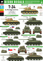 BD35176: T-34 in Foreign Service
