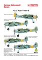 1/48 113: Focke Wulf F-190F-8