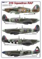 1/72 053:  310 Squadron RAF