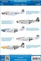 1/48 085: P-51D-5 \"8th AF\" 1/48 085: P-51D-5 \"8th AF\"
