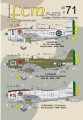 1/48 48-71: P-47D Brazilian T-bolts WW2 & post war
