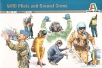 IT1246: NATO Pilots and Ground Crews
