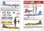 1/48 135: B-17F/G \'Sentimental Journey & Wulf Hound