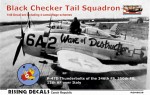 1/48 035:Black Checker Tail Squadron”