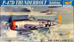 TP02263: P-47D Thunderbolt \"Bubbletop\"
